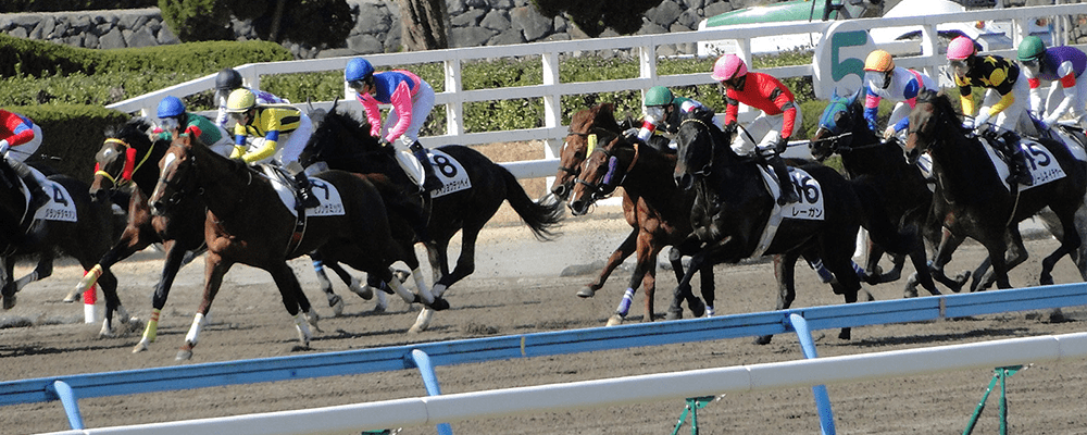 日本ダービーで走る馬
