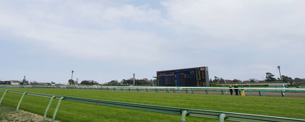 中山競馬場