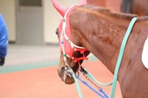 【2023年最新版】鉄板の地方競馬予想サイトのおすすめ10選！