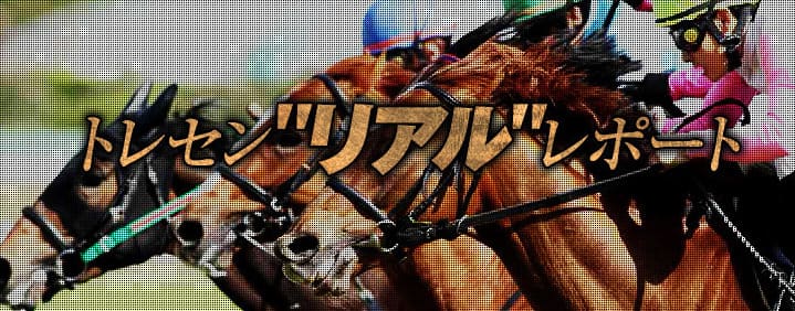 競馬予想サイト「ターフビジョン」 無料コンテンツが豊富