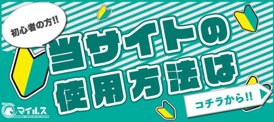 初心者向けの利用ガイドがある